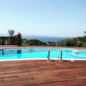 Luxury Villa Nefeli in Skiathos featuring an Exclusive Private Pool Oasis